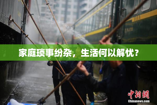 家庭琐事纷杂，生活何以解忧？