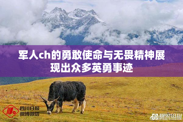 军人ch的勇敢使命与无畏精神展现出众多英勇事迹