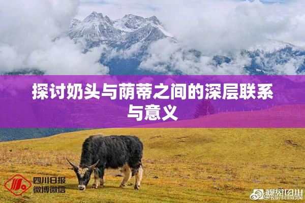 探讨奶头与荫蒂之间的深层联系与意义