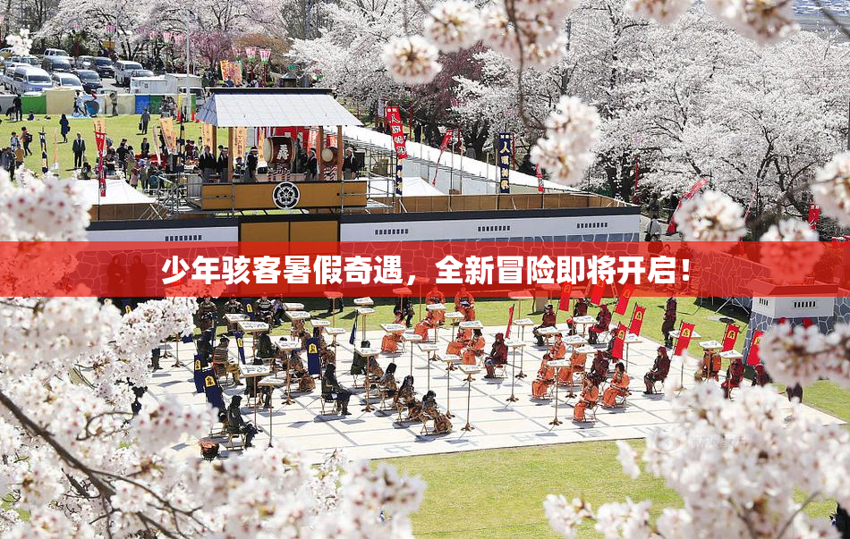 少年骇客暑假奇遇，全新冒险即将开启！