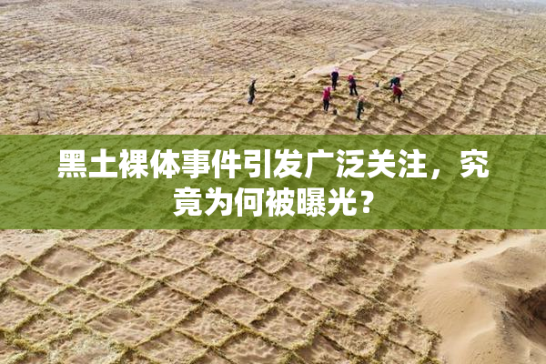 黑土裸体事件引发广泛关注，究竟为何被曝光？