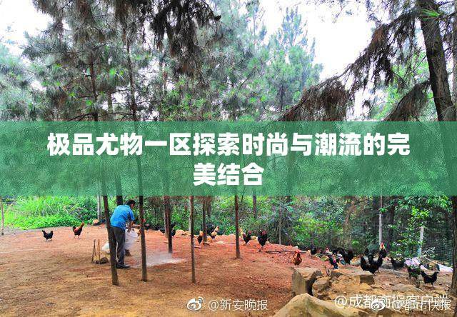 极品尤物一区探索时尚与潮流的完美结合