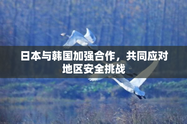 日本与韩国加强合作，共同应对地区安全挑战
