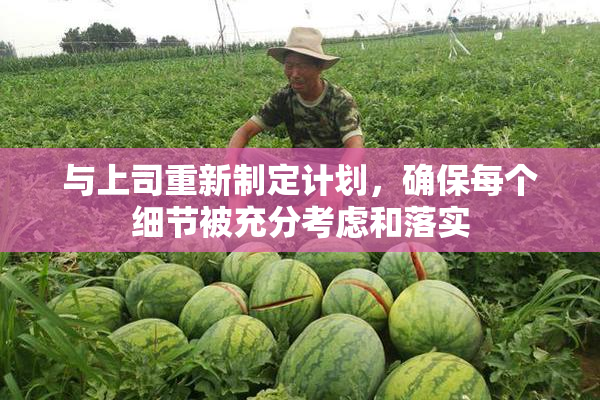 与上司重新制定计划，确保每个细节被充分考虑和落实