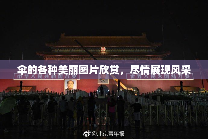 伞的各种美丽图片欣赏，尽情展现风采