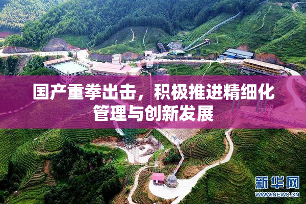 国产重拳出击，积极推进精细化管理与创新发展
