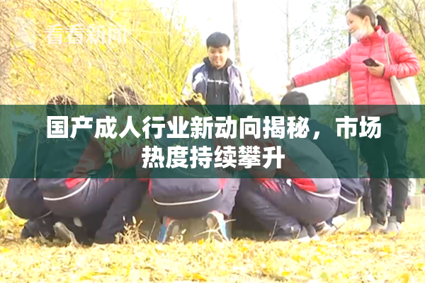 国产成人行业新动向揭秘，市场热度持续攀升