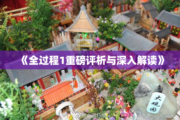 《全过程1重磅评析与深入解读》