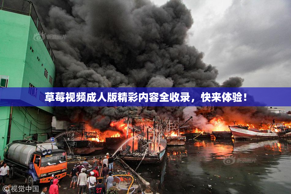 草莓视频成人版精彩内容全收录，快来体验！