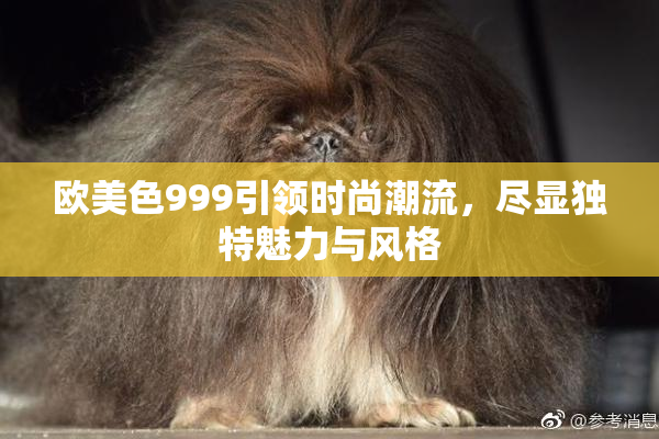 欧美色999引领时尚潮流，尽显独特魅力与风格