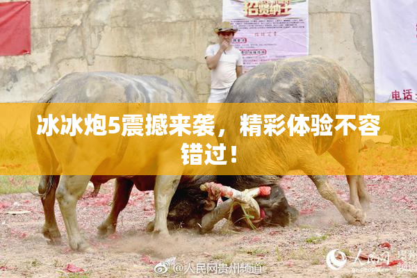 冰冰炮5震撼来袭，精彩体验不容错过！