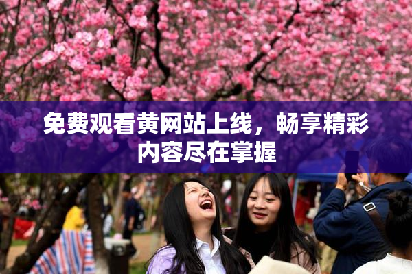 免费观看黄网站上线，畅享精彩内容尽在掌握