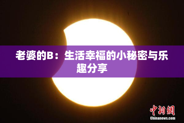 老婆的B：生活幸福的小秘密与乐趣分享