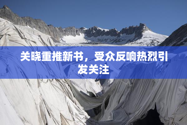 关晓重推新书，受众反响热烈引发关注