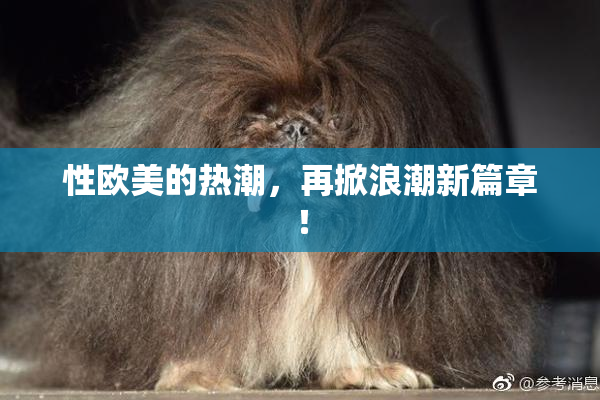 性欧美的热潮，再掀浪潮新篇章！