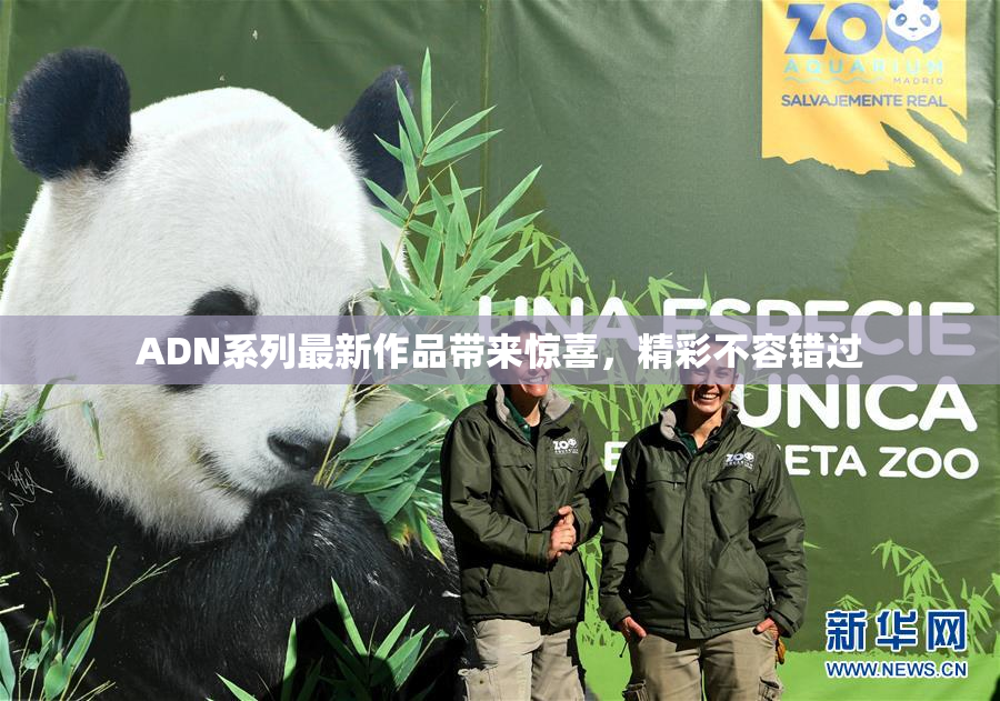 ADN系列最新作品带来惊喜，精彩不容错过