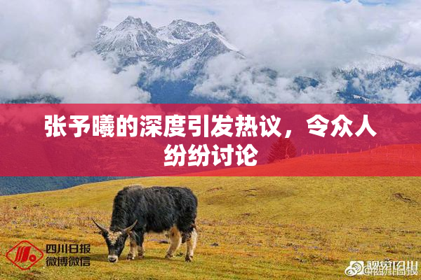 张予曦的深度引发热议，令众人纷纷讨论