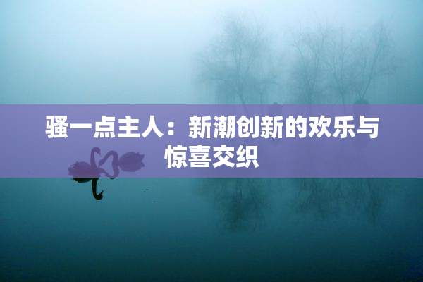 骚一点主人：新潮创新的欢乐与惊喜交织