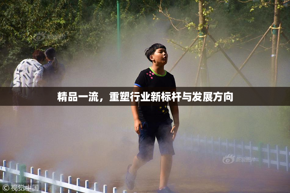 精品一流，重塑行业新标杆与发展方向