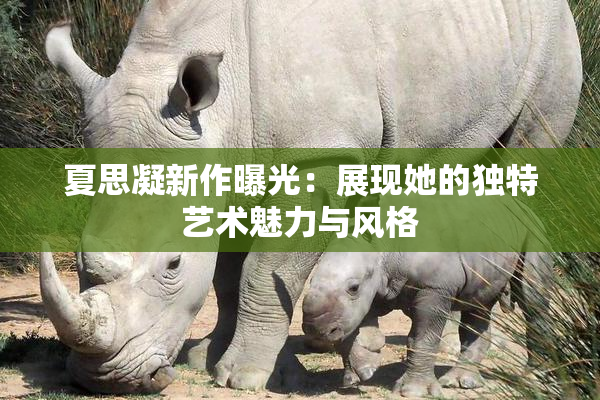 夏思凝新作曝光：展现她的独特艺术魅力与风格