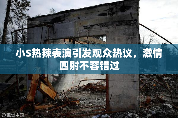 小S热辣表演引发观众热议，激情四射不容错过