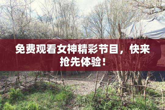 免费观看女神精彩节目，快来抢先体验！