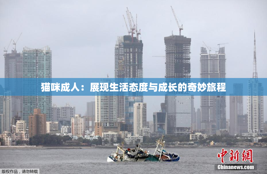 猫咪成人：展现生活态度与成长的奇妙旅程