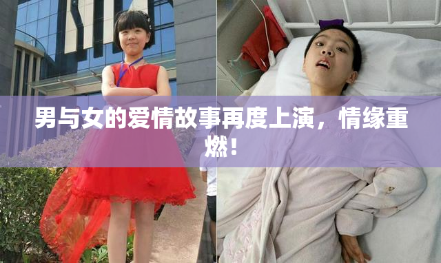 男与女的爱情故事再度上演，情缘重燃！