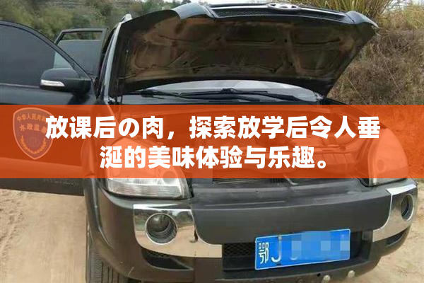 放课后の肉，探索放学后令人垂涎的美味体验与乐趣。