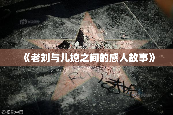 《老刘与儿媳之间的感人故事》
