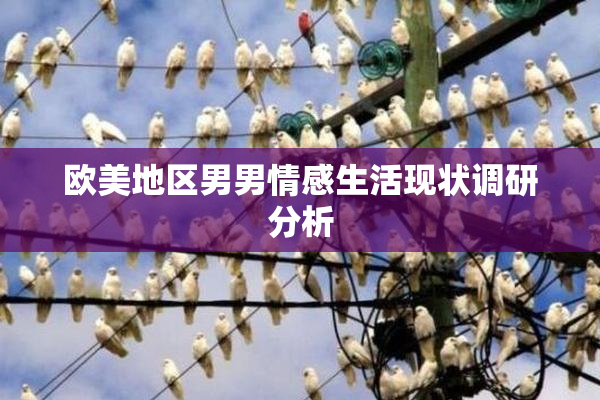欧美地区男男情感生活现状调研分析