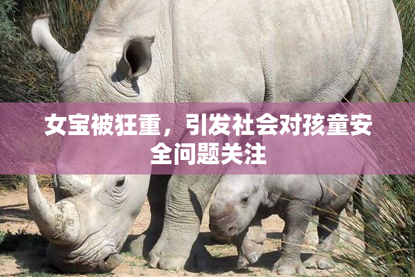 女宝被狂重，引发社会对孩童安全问题关注