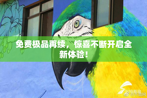 免费极品再续，惊喜不断开启全新体验！