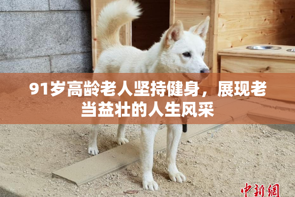 91岁高龄老人坚持健身，展现老当益壮的人生风采