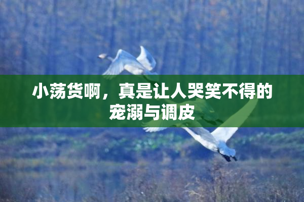 小荡货啊，真是让人哭笑不得的宠溺与调皮