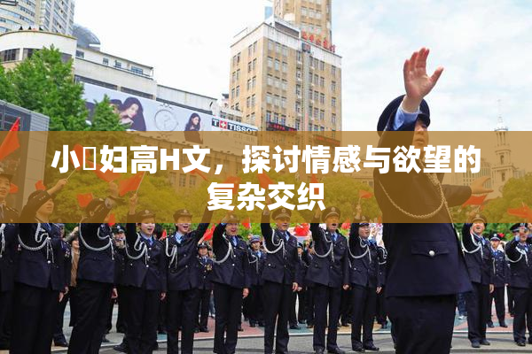 小婬妇高H文，探讨情感与欲望的复杂交织