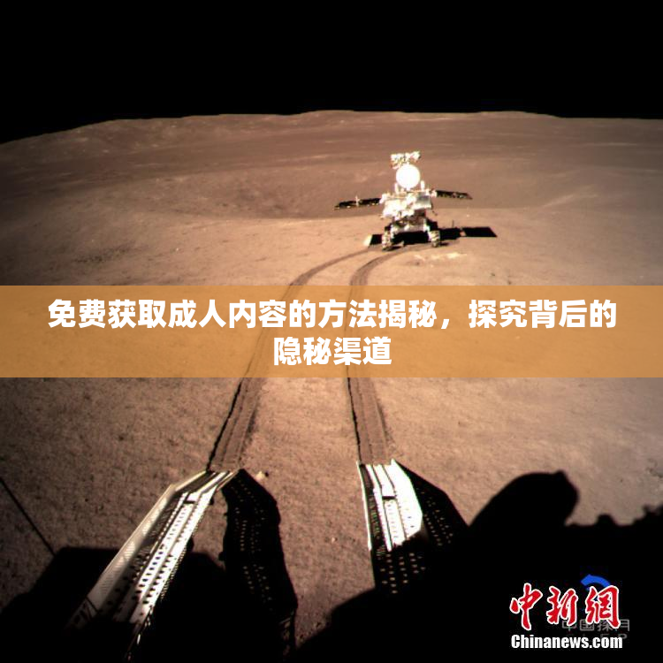 免费获取成人内容的方法揭秘，探究背后的隐秘渠道