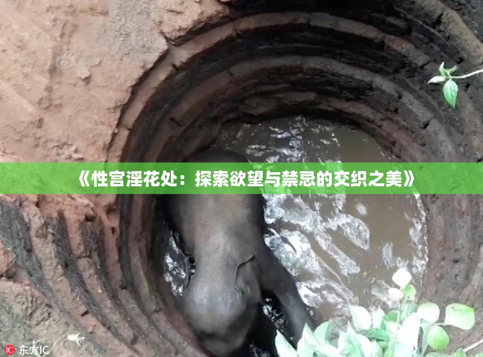 《性宫淫花处：探索欲望与禁忌的交织之美》