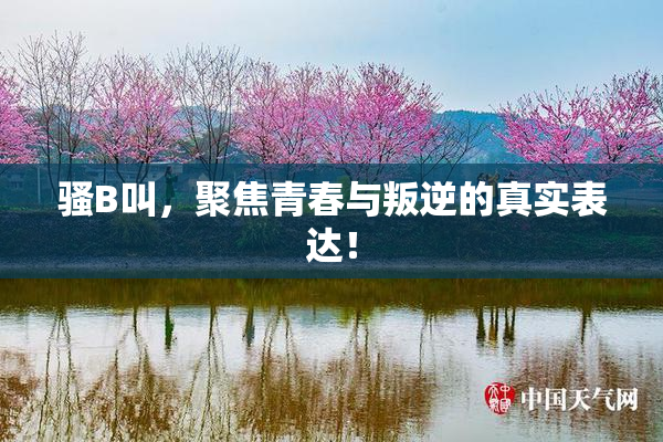 骚B叫，聚焦青春与叛逆的真实表达！