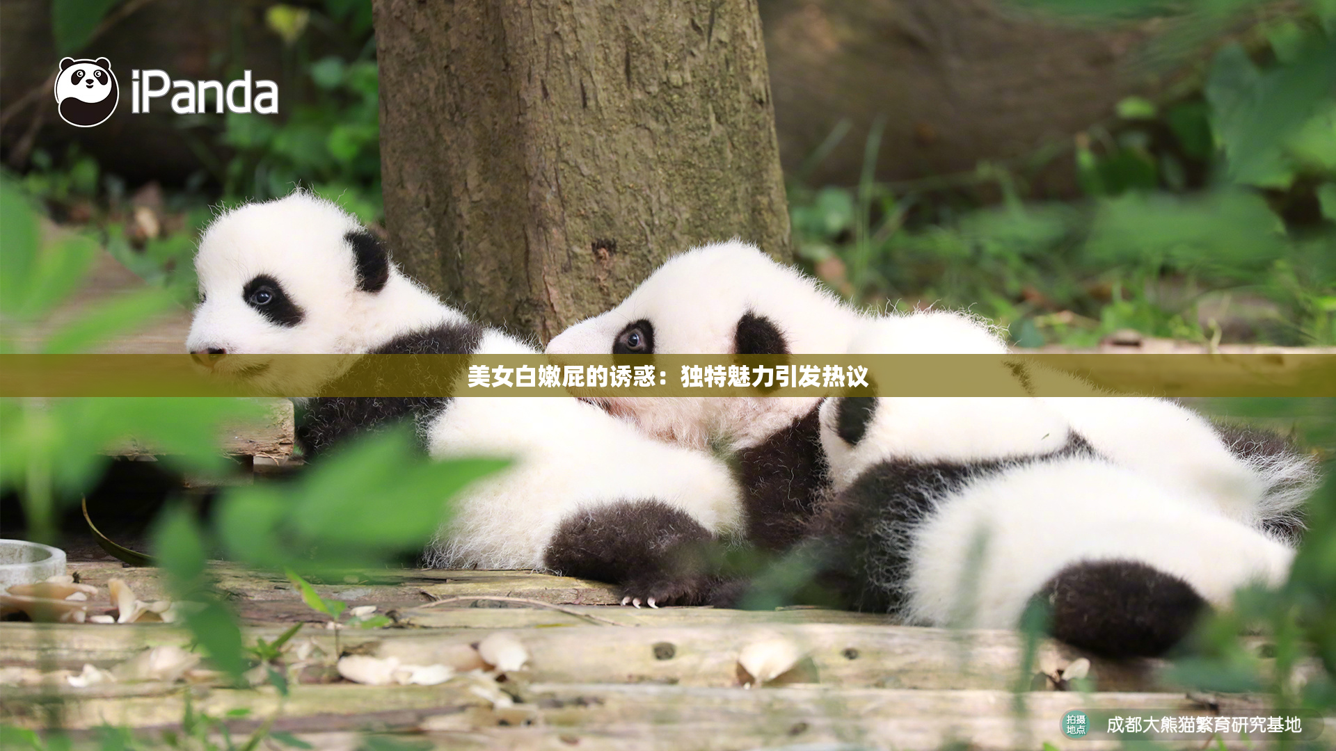美女白嫩屁的诱惑：独特魅力引发热议