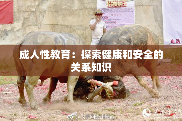 成人性教育：探索健康和安全的关系知识