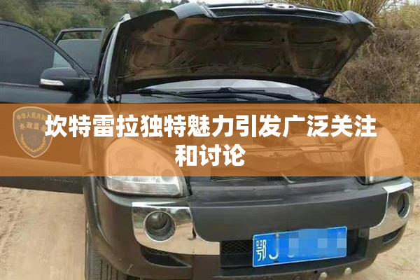 坎特雷拉独特魅力引发广泛关注和讨论