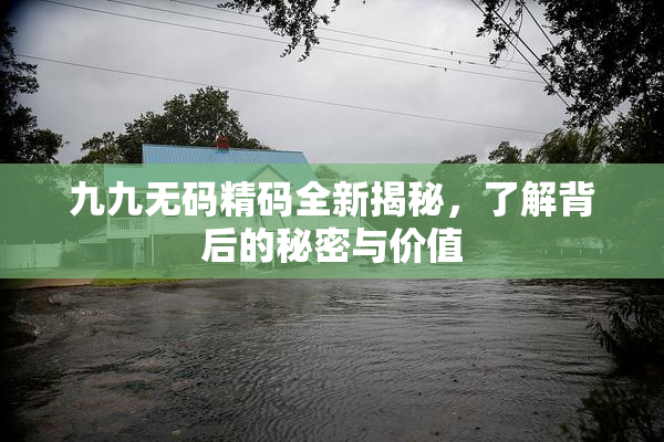 九九无码精码全新揭秘，了解背后的秘密与价值