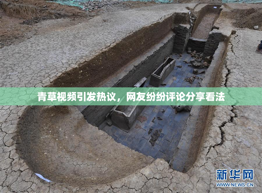 青草视频引发热议，网友纷纷评论分享看法