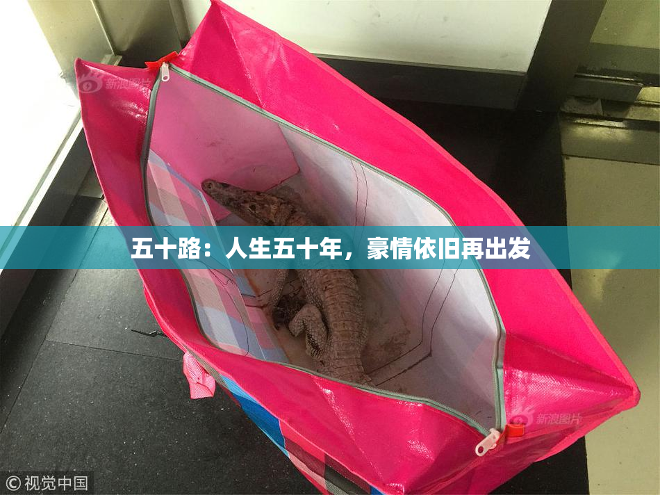 五十路：人生五十年，豪情依旧再出发