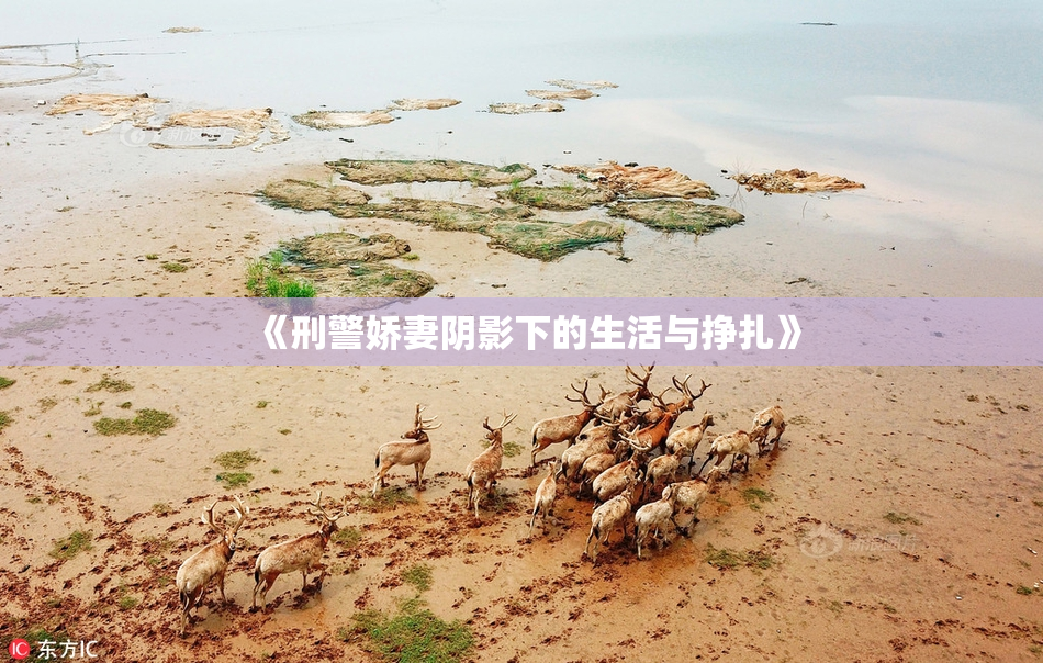 《刑警娇妻阴影下的生活与挣扎》