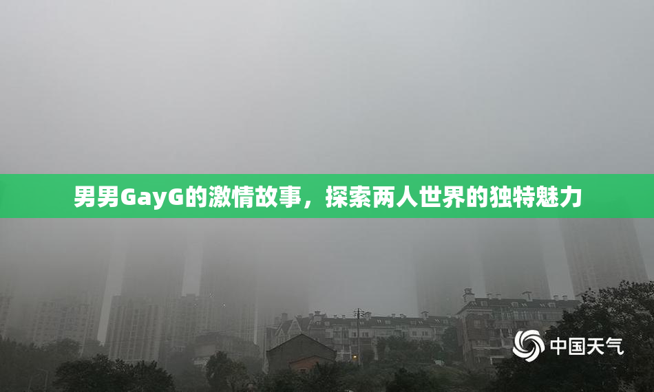 男男GayG的激情故事，探索两人世界的独特魅力