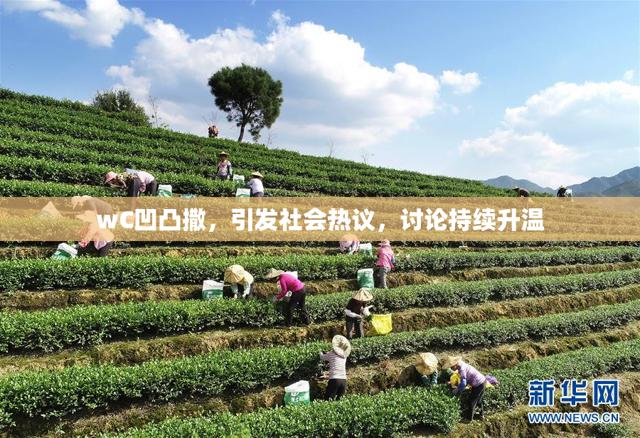 wC凹凸撒，引发社会热议，讨论持续升温