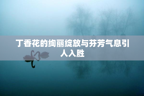 丁香花的绚丽绽放与芬芳气息引人入胜