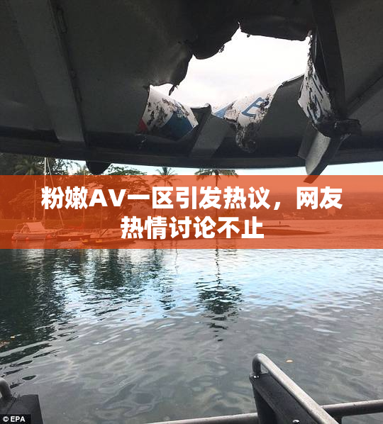 粉嫩AV一区引发热议，网友热情讨论不止